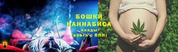 PSILOCYBIN Киренск