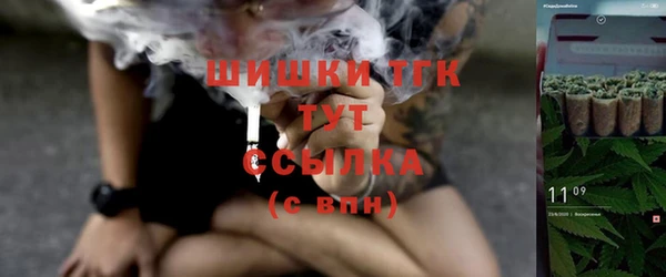 PSILOCYBIN Киренск