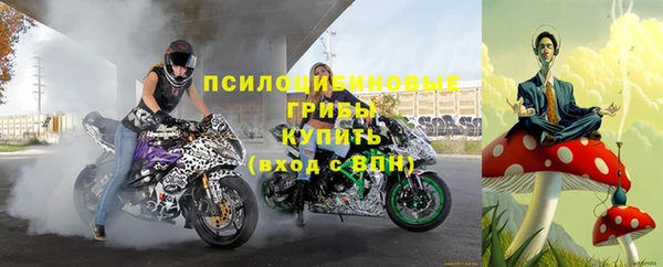 PSILOCYBIN Киренск