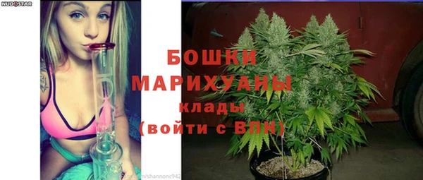 PSILOCYBIN Киренск