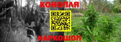 прущие грибы Мариинск