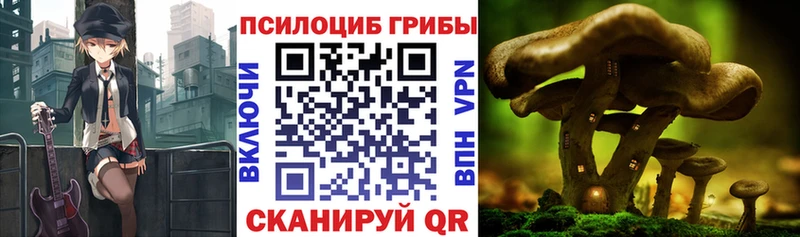 блэк спрут ССЫЛКА Янаул Галлюциногенные грибы мицелий